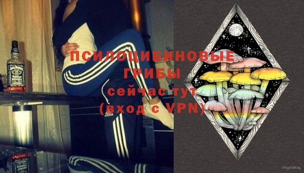 МДМА Бородино